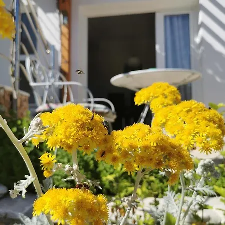 Mali Princ Apartment *