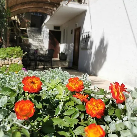 Apartamento Mali Princ *